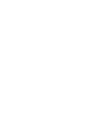 Silhuet af Galeasen VEGA.
